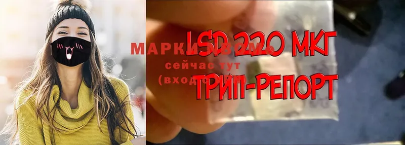 Марки N-bome 1500мкг Камышлов